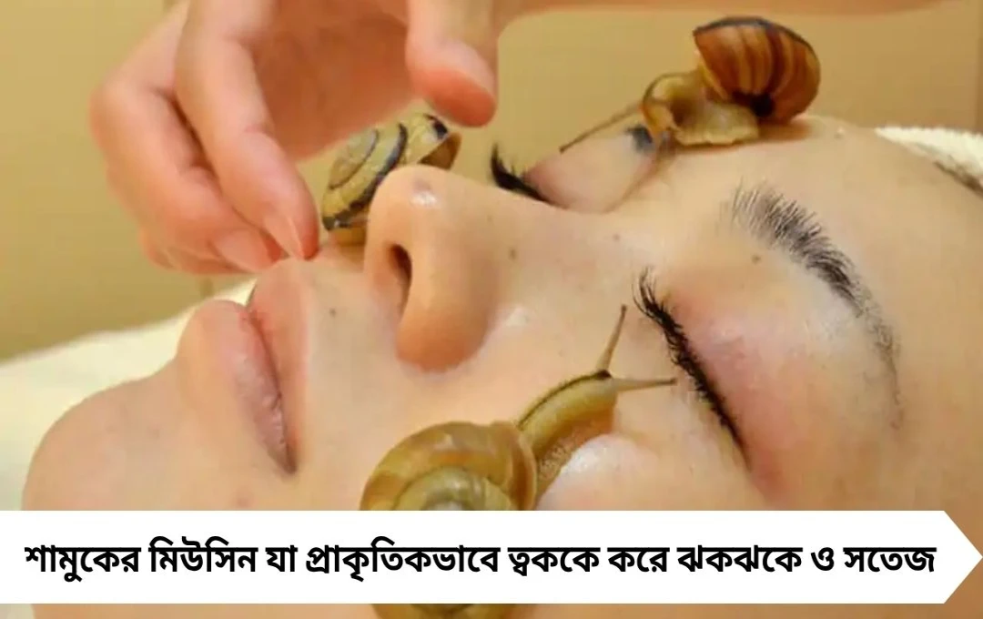 Glass Skin পেতে শামুকের মিউসিন: সাত দিনে ঝকঝকে ত্বক!