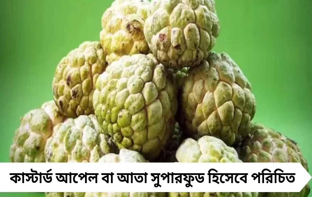 কাস্টার্ড আপেল: সুপারফুড কিন্তু কারা ভুলেও খাবেন না?