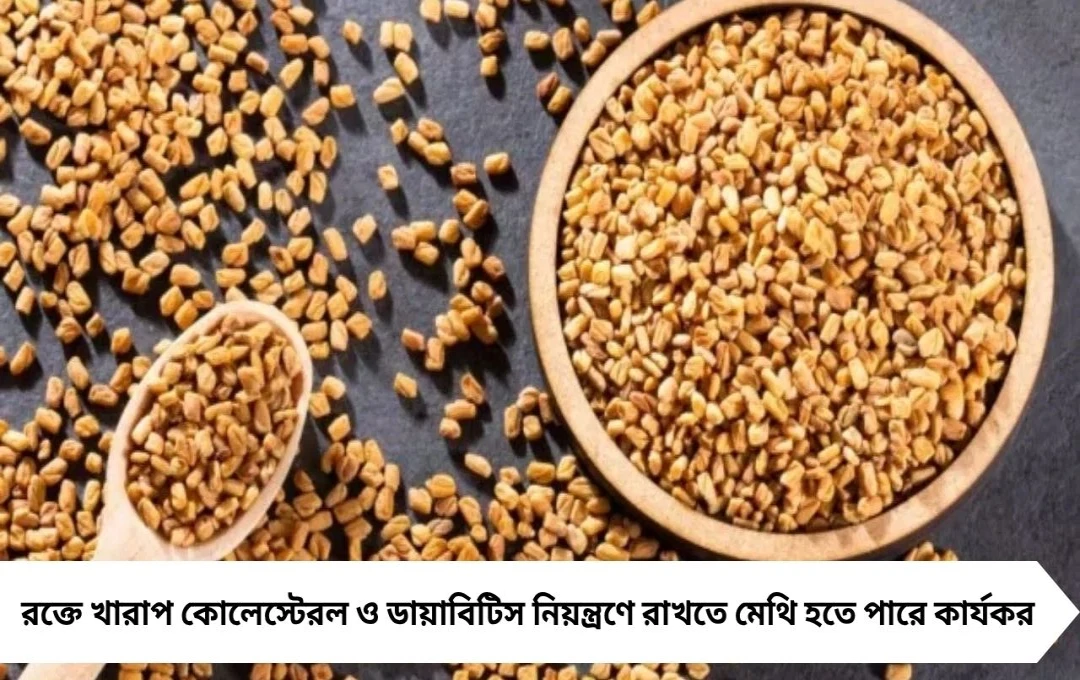 মেথি: ব্যাড কোলেস্টেরল ও ডায়াবিটিস নিয়ন্ত্রণের ঘরোয়া উপায়