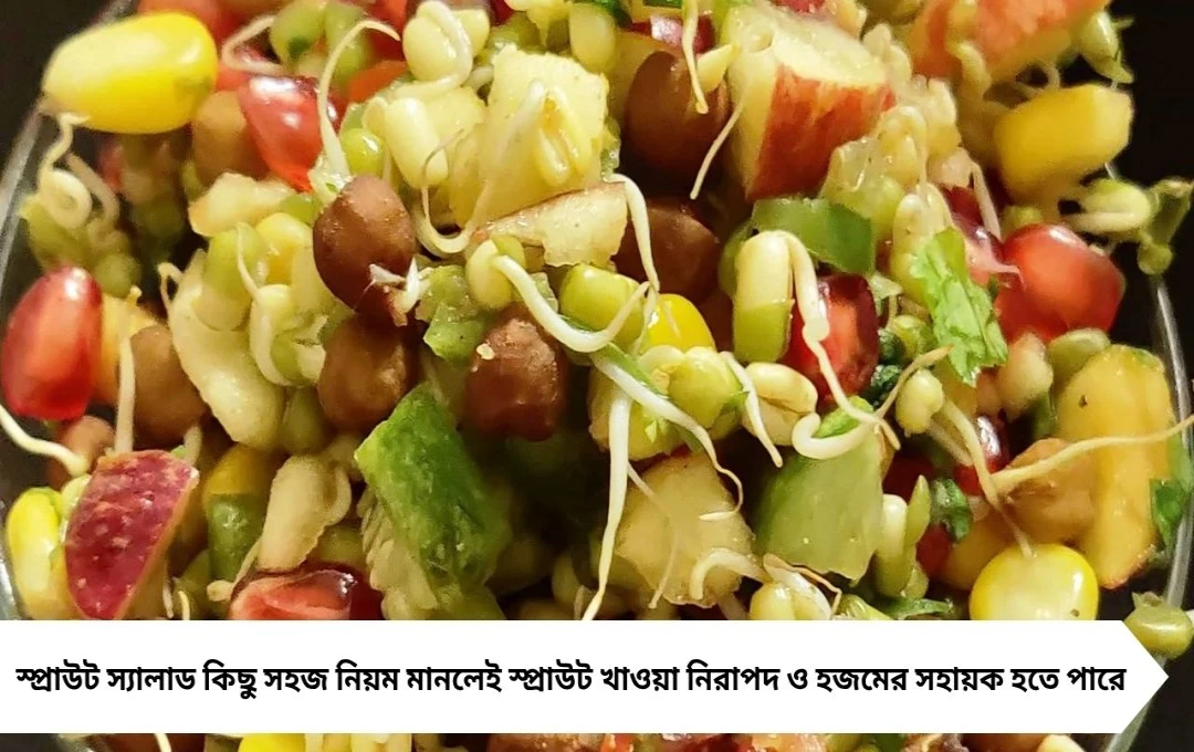 স্প্রাউট স্যালাড খাওয়া কি সত্যিই স্বাস্থ্যকর? পুষ্টিবিদের কথা শুনলে সব ধারণা বদলে যাবে