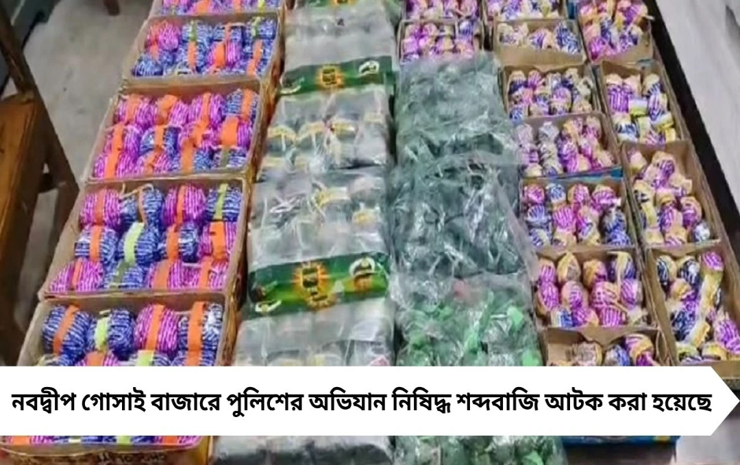 নদিয়ায় কালীপুজোর আগে শব্দবাজি অভিযানে গ্রেফতার এক