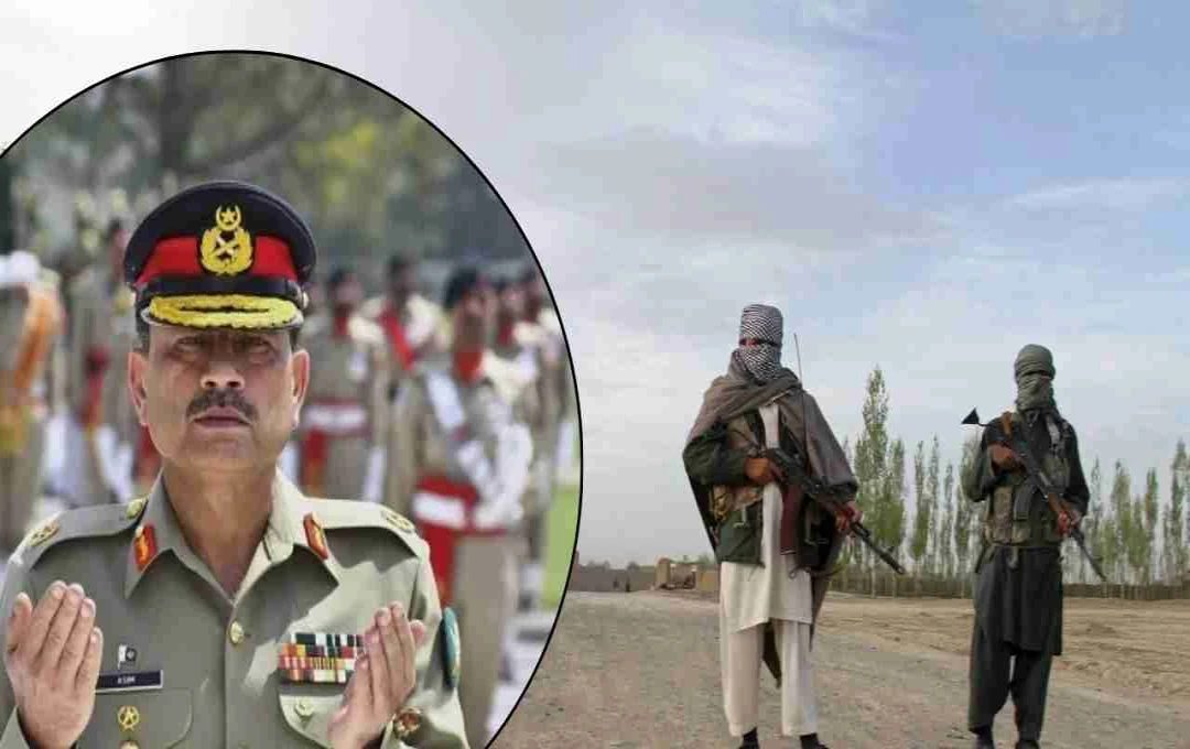 Regional Powers Confront Afghanistan Terrorism: Pakistan Voices Concerns to China, Russia, Iran