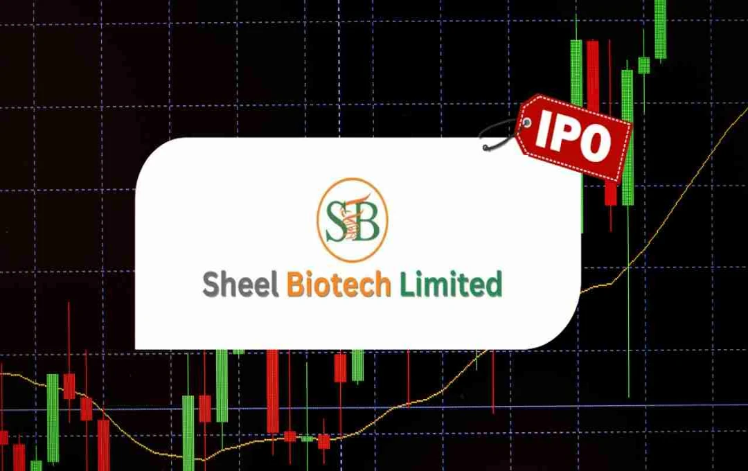 Sheel Biotech IPO Listings: ₹63 का शेयर ₹91 पर लिस्ट, पहले दिन 44% मुनाफा