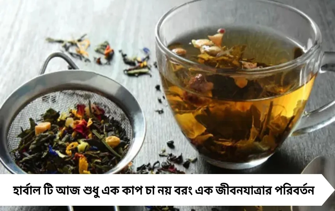 Herbal Tea: শরীর ও মনের সঙ্গী! কেন বাড়ছে হার্বাল টি-র জনপ্রিয়তা