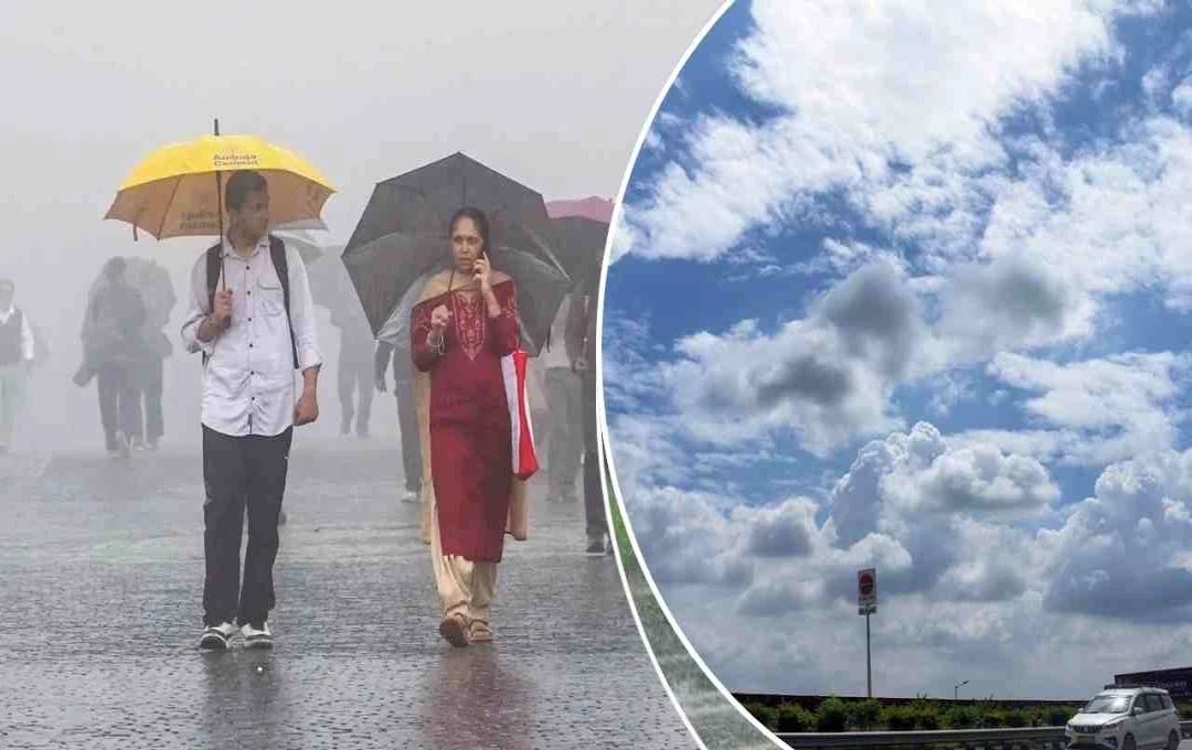 दिल्ली-यूपी समेत कई राज्यों में बारिश से मिली राहत, जानें आज कैसा रहेगा मौसम?
