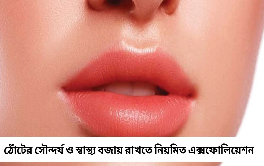 ঠোঁট রুক্ষ হয়ে যাচ্ছে? এই ঘরোয়া উপায়েই ফেরান প্রাকৃতিক আর্দ্রতা