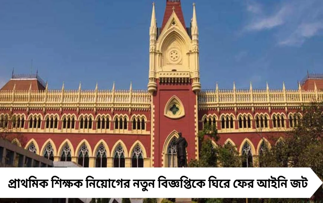 প্রাথমিকের নতুন নিয়োগ বিজ্ঞপ্তিকে চ্যালেঞ্জ করে হাইকোর্টে মামলা, প্রশ্নভুল নিয়েই বিতর্ক তুঙ্গে