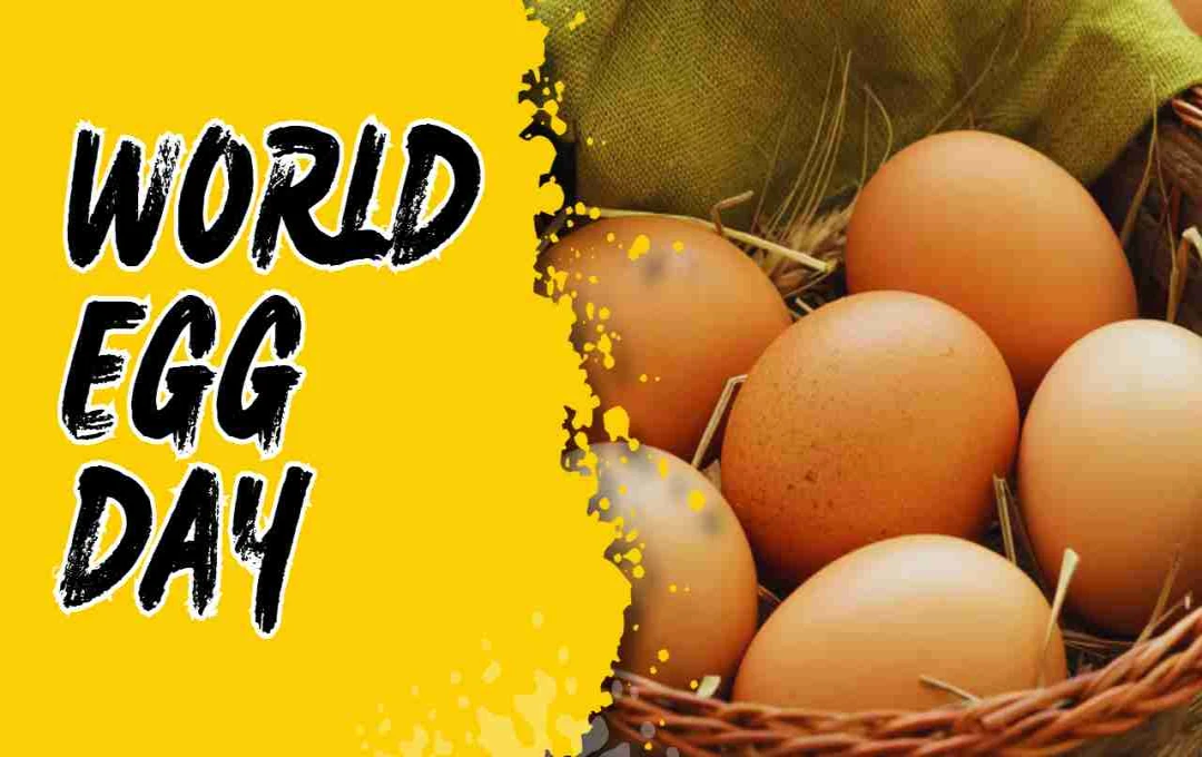 World Egg Day: पोषण, स्वास्थ्य और स्वाद का जश्न 