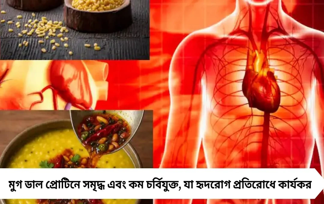 মুগ ডাল: হার্ট ডিজিজ ও ডায়াবেটিস প্রতিরোধে অমুল্য খাদ্য