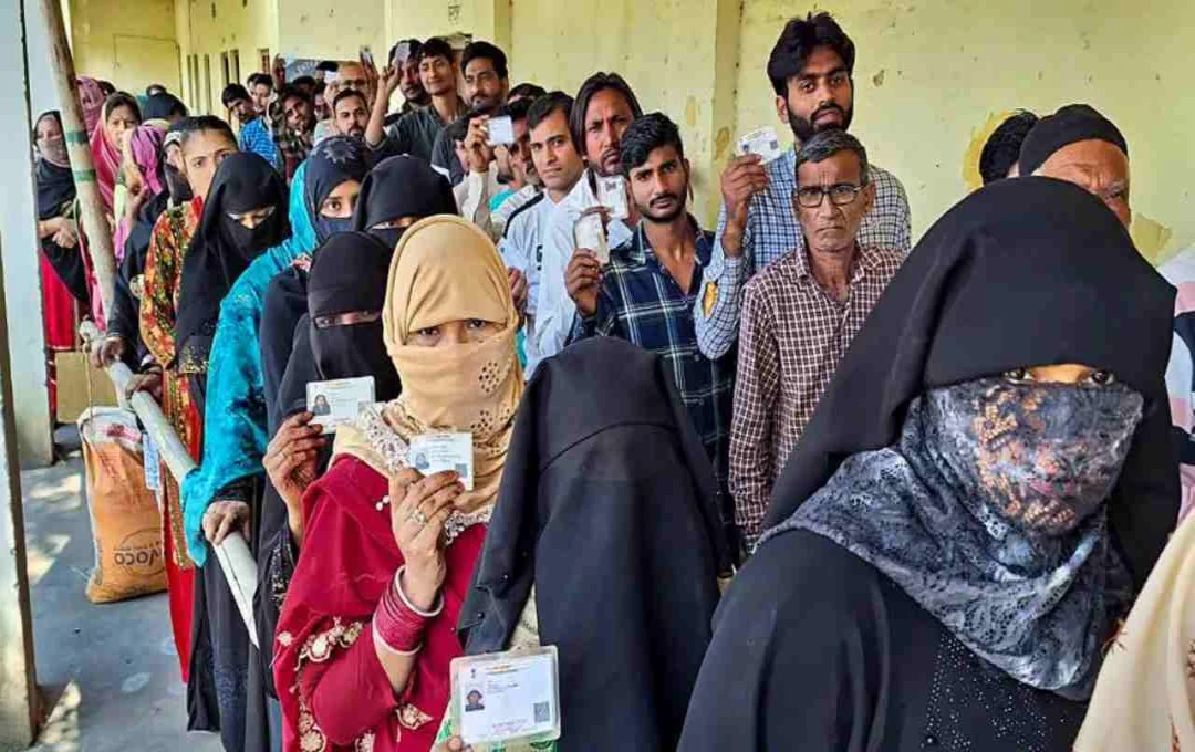 Bihar Assembly Elections 2025: EC Lists 12 Alternative Photo IDs for Voters; Nomination Filing Underway