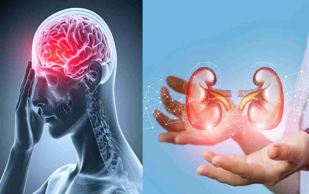 NYU Study Reveals Memory Beyond the Brain in Non-Neuronal Cells, Impacting Alzheimer's and Learning