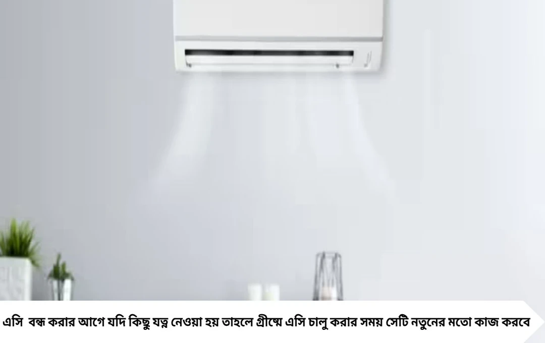 AC Service Tips: শীত পড়ার আগে এসিতে করুন এই কাজগুলি, টাকা ও সময় দুটোই বাঁচবে!