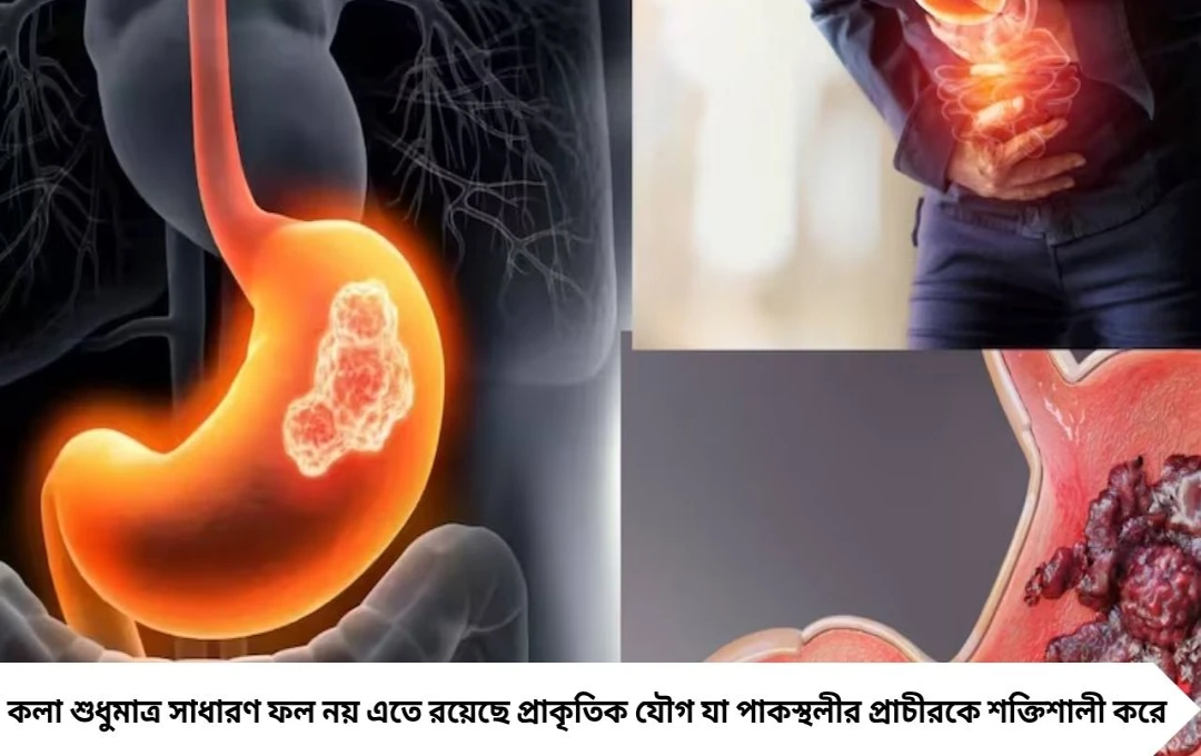 Stomach Cancer & Ulcer: প্রতিদিন ২টি কলা, পাকস্থলীর প্রাকৃতিক ঢাল