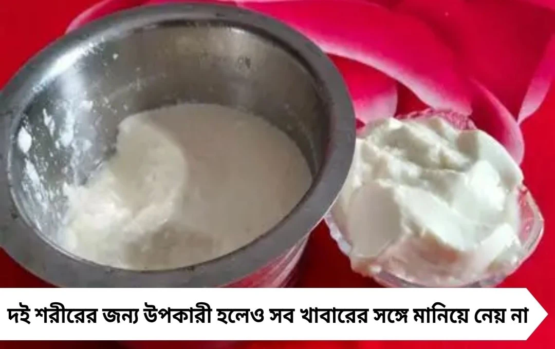 রোজ সকালে টকদই খান? সঙ্গে এই ৫ খাবার খেলে অ্যাসিডিটি হয়ে যেতে পারে