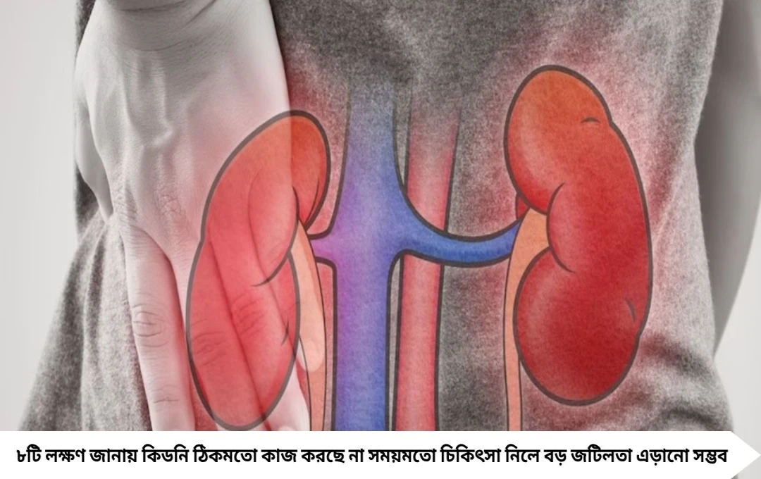কিডনি বিকল হওয়ার ৮টি সতর্ক লক্ষণ: মুখে দুর্গন্ধ, অনিদ্রা ও ক্লান্তি জানাচ্ছে সতর্কবার্তা