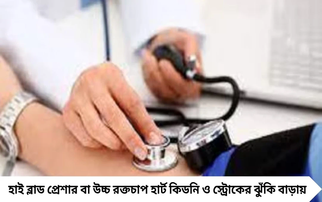 হাই ব্লাড প্রেশার কমাবে এই ১২টি খাবার, হার্ট-কিডনির সুরক্ষা নিশ্চিত
