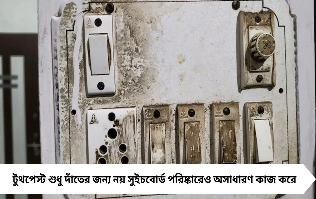 দীপাবলির আলোয় ঝকঝকে ঘর: সুইচবোর্ডকেও নতুনের মতো উজ্জ্বল রাখুন এই ৩ ঘরোয়া উপায়ে!