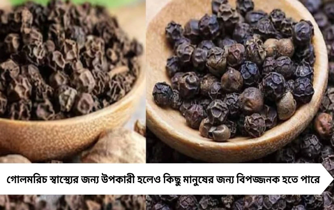 Black Pepper (Gol Morich) Side Effects: এই ৬ জনকে এড়াতে হবে!