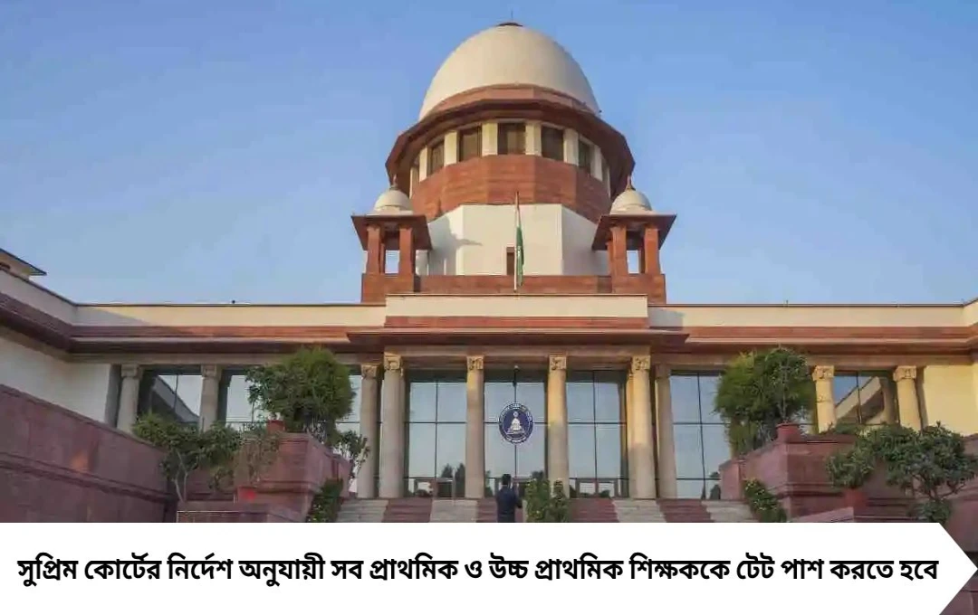 টেট রায় পুনর্বিবেচনা চায় রাজ্য, সুপ্রিম কোর্টে রিভিউ পিটিশনের চিন্তা