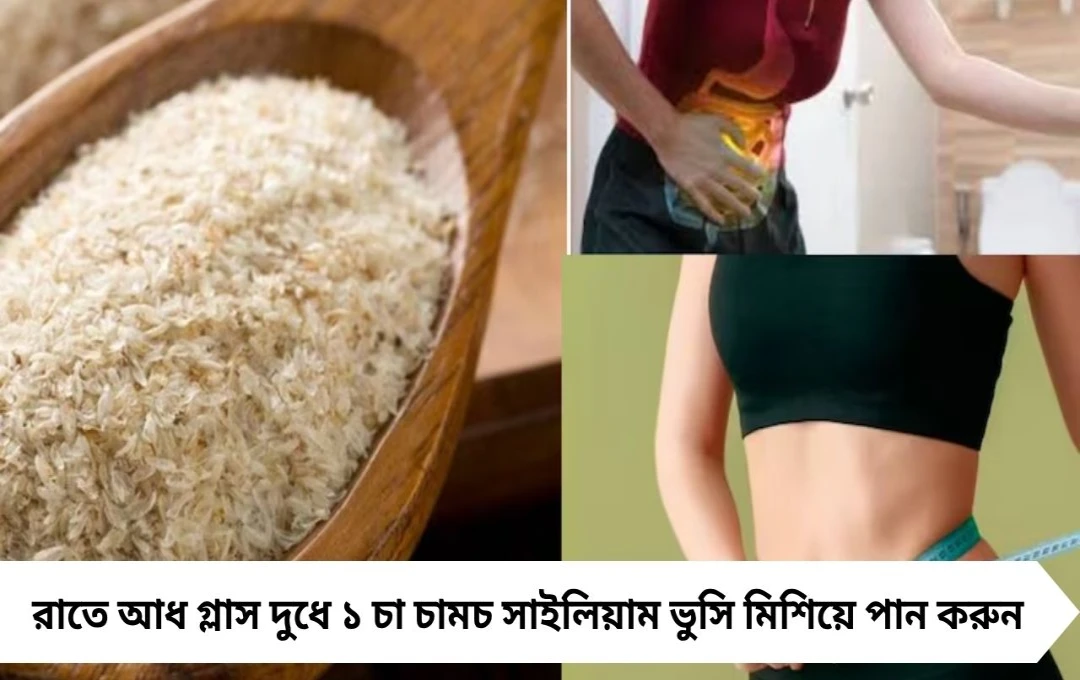 Constipation ও Weight Loss: রাতে দুধে ১ চামচ সাইলিয়াম, ৭ দিনে পেট সাফ ও কোমর পাতলা