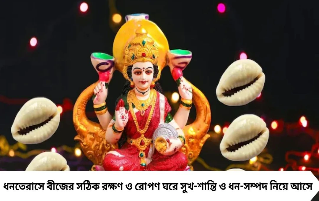 Dhanteras 2025: ধনবীজ কেনা শিখুন, ঘরে লক্ষ্মী আনুন, সমৃদ্ধি বাড়ান