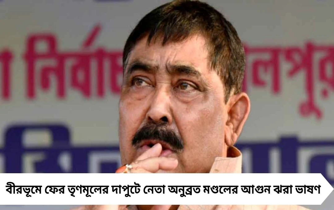বিজেপিকে ভোটবাক্সে চড় মারুন: ফের লড়াকু মেজাজে অনুব্রত মণ্ডল