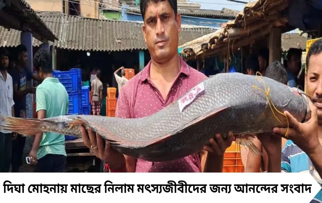 দিঘায় মাছের নিলাম: মৎস্যজীবীদের লাভের দিন, লক্ষাধিক টাকার মাছ