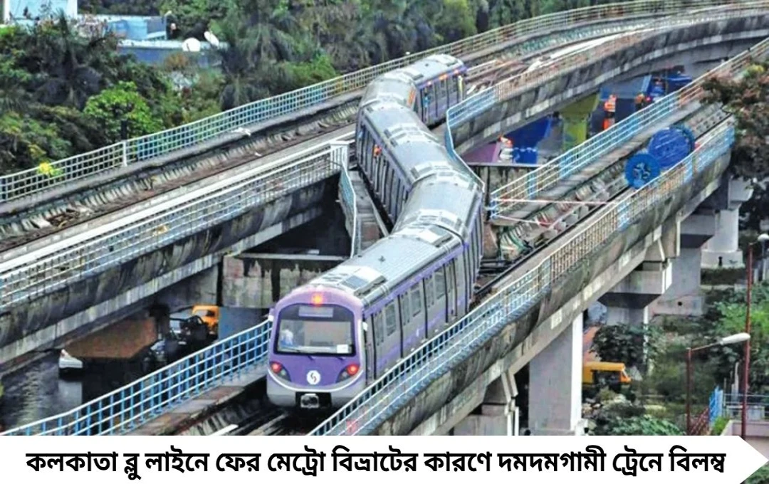 ব্লু লাইনে দুর্ভোগ: দমদমগামী মেট্রো চলাচলে বিঘ্ন, যাত্রীরা বিপর্যস্ত