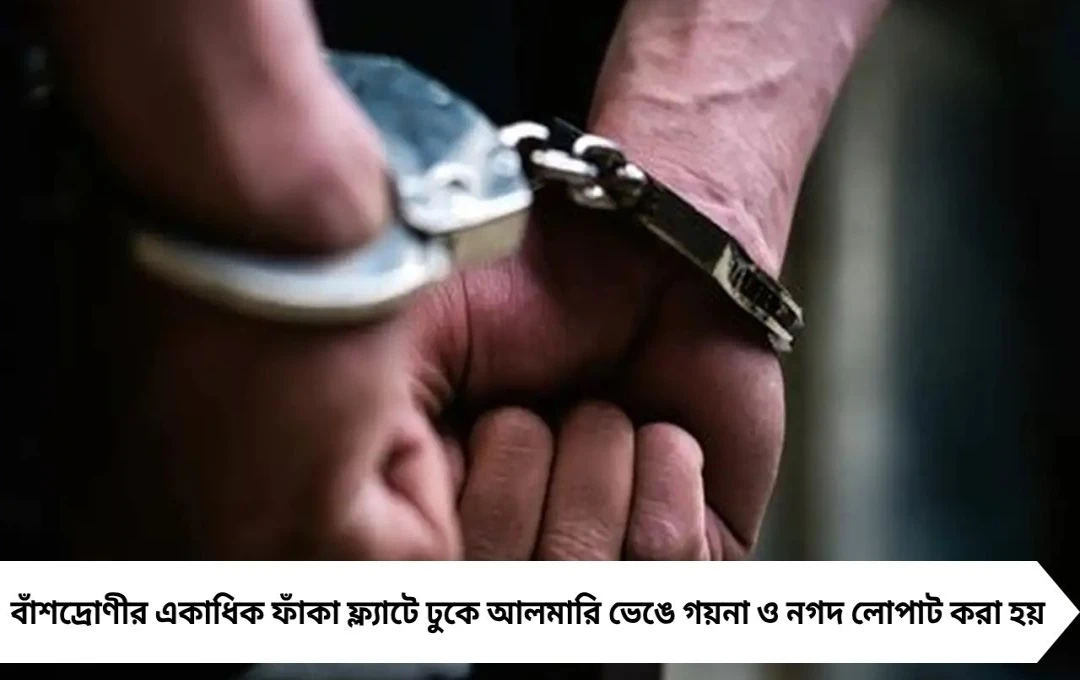 পুজোর মাঝে শহরতলিতে চুরির হানা! ফাঁদ পেতে গ্রেপ্তার ৪ দুষ্কৃতী, উদ্ধার সোনা-নগদ