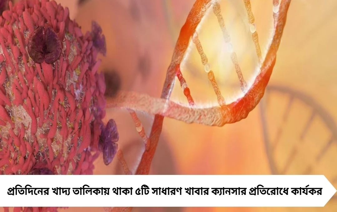 Defeat Cancer: দৈনন্দিন ৫ খাবার যা ক্যানসার প্রতিরোধে সহায়ক