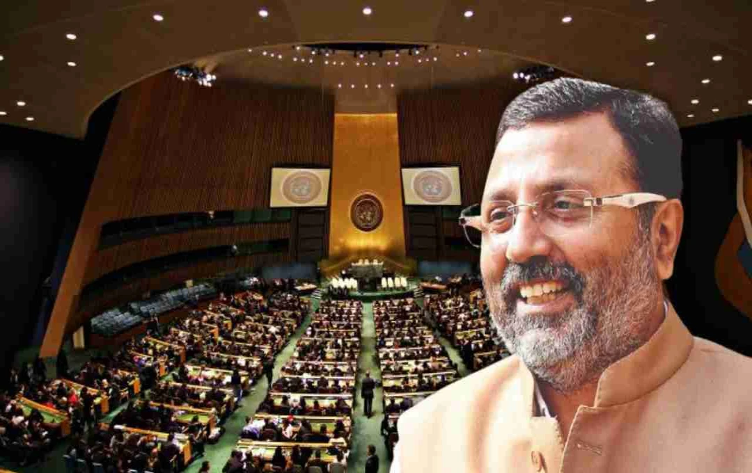 India Slams Pakistan at UN Over Child Rights Violations & Cross-Border Terrorism, Defends 'Operation Sindoor'
