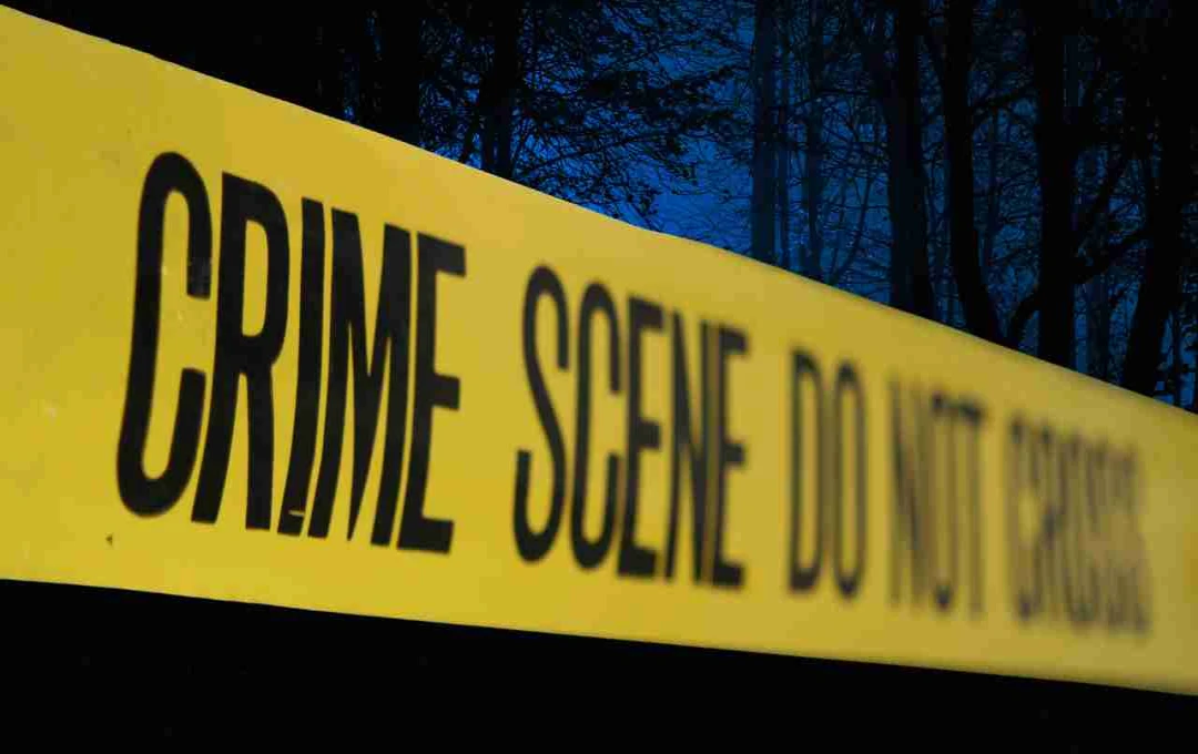 दौसा हत्याकांड: बड़े भाई ने छोटे भाई की कुल्हाड़ी से की हत्या, पुलिस जाँच में जुटी  