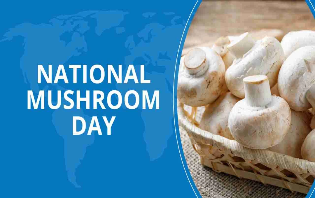 National Mushroom Day: स्वाद, स्वास्थ्य और प्रकृति का जश्न