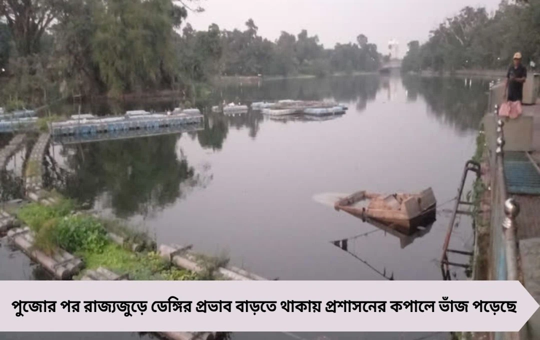 ডেঙ্গি রুখতে নজরদারিতে গাফিলতি! মুখ্যসচিব মনোজ পন্থের কড়া সতর্কবার্তা