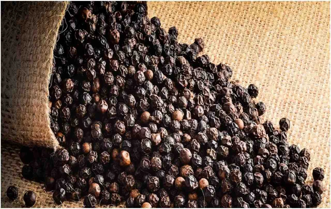 दिवाली की रात करें खास टोटका: 11 दाने काली मिर्च और आएगी घर में खुशहाली