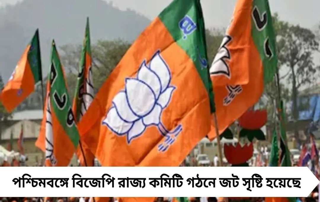 বিজেপি রাজ্য কমিটি: নেতাদের অনীহা, গঠনে বাধা কোথায়?