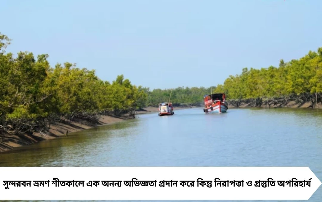 সুন্দরবন ভ্রমণ: শীতকালে যাওয়ার আগে জানুন গুরুত্বপূর্ণ তথ্য