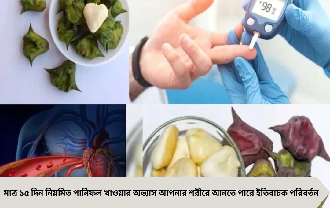 Paniphal Health Benefits: ১৫ দিন রোজ পানিফল খেলেই মিলবে ডায়াবেটিস ও হৃদরোগে অবিশ্বাস্য উপকার