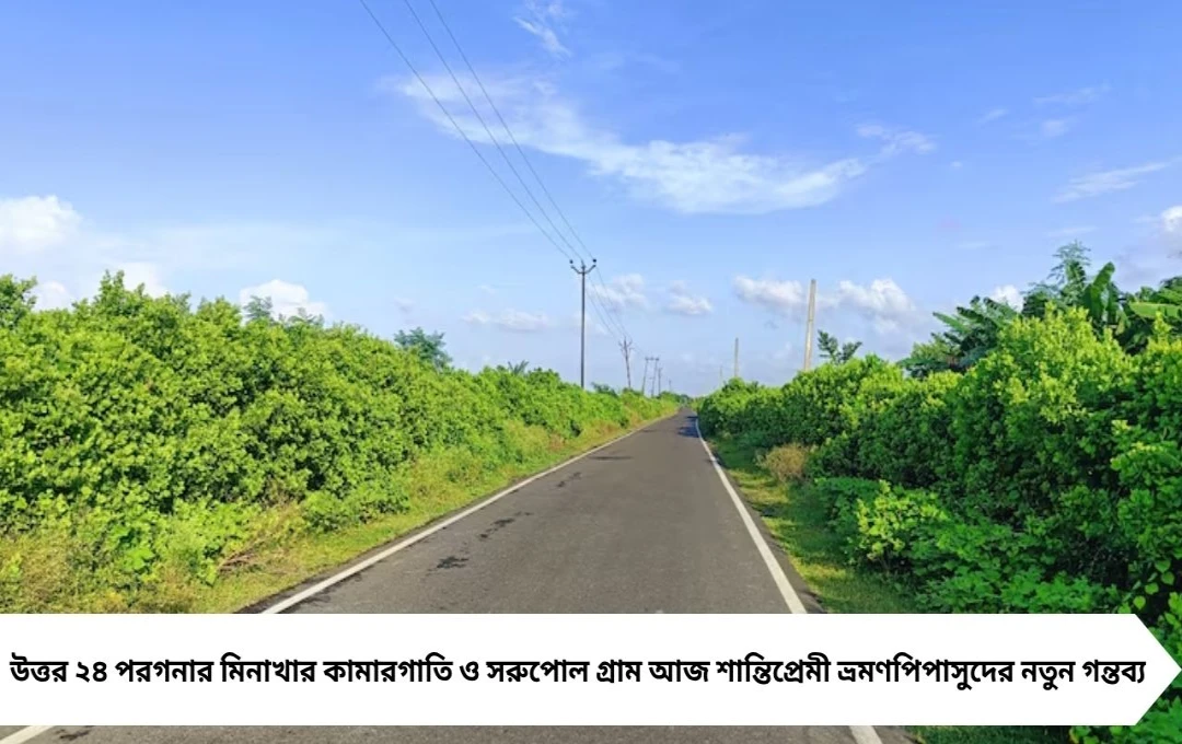 ডে ট্রিপ: কলকাতার কাছে সবুজে মোড়া মিনাখার গ্রামভ্রমণে খুঁজে নিন প্রকৃতির প্রশান্তি