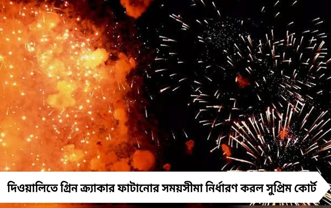 দীপাবলিতে শুধু নির্দিষ্ট সময়েই বাজি ফাটানো যাবে! সুপ্রিম কোর্টের কড়া নির্দেশ