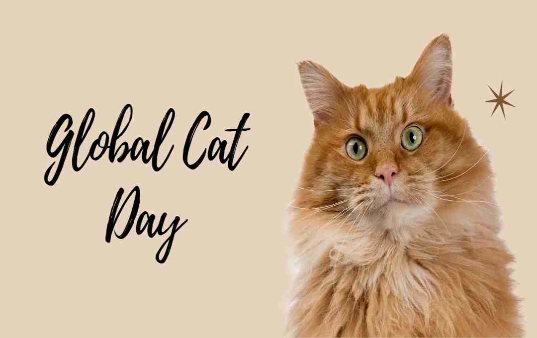 Global Cat Day: बिल्लियों के प्रति सम्मान और जिम्मेदारी का दिन