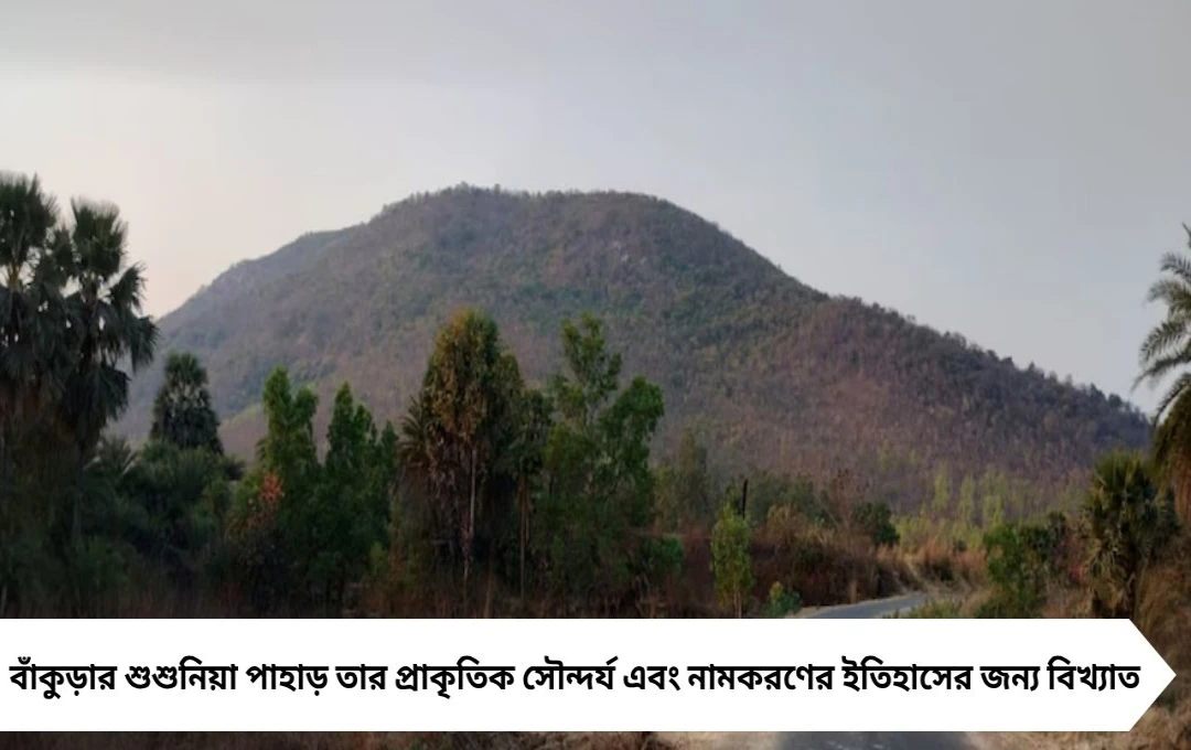 বাঁকুড়ার শুশুনিয়া পাহাড়: নামের পেছনে লুকানো ইতিহাস