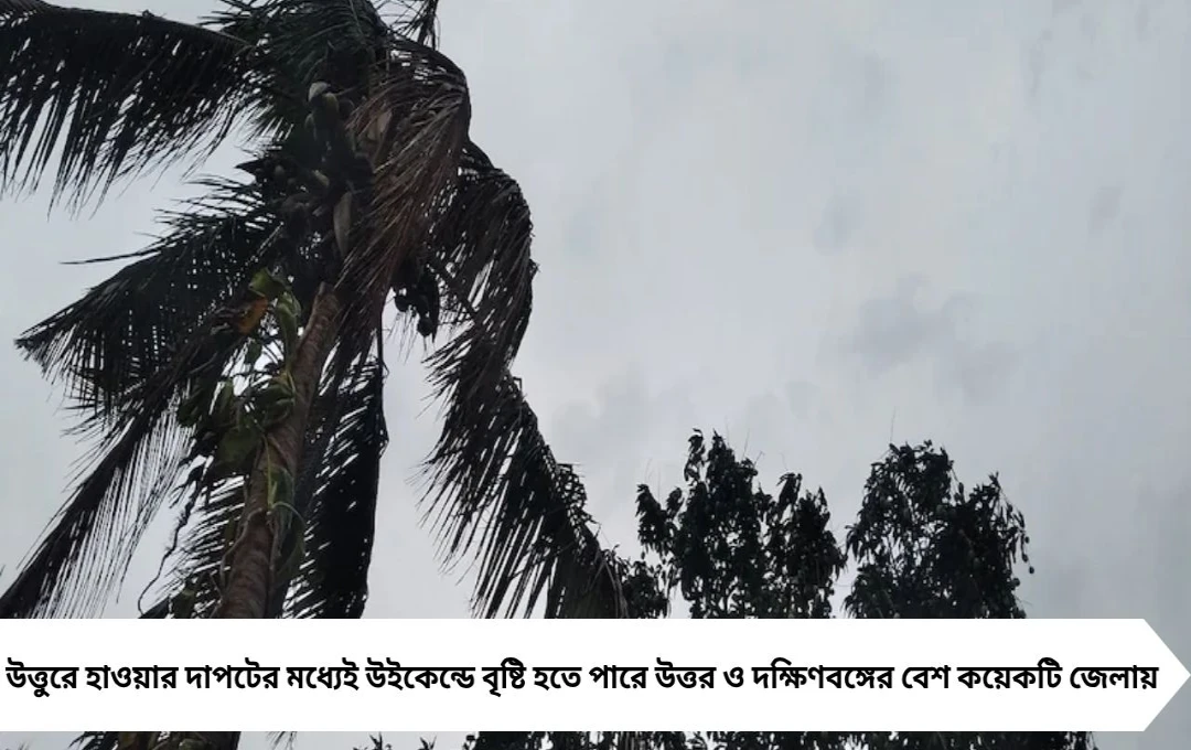 উত্তুরে হাওয়ার শিরশিরানির মাঝেই উইকেন্ডে বৃষ্টি! আবহাওয়া দফতরের সতর্কতা