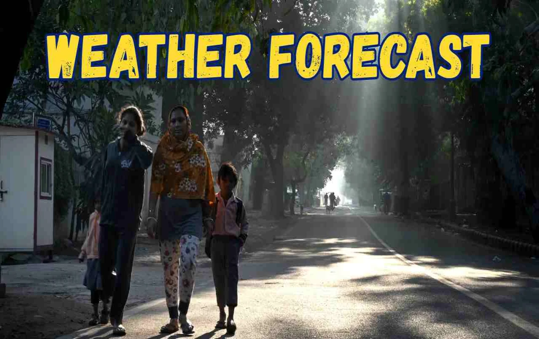दिल्ली-एनसीआर में दिन गर्म, रात में हल्की ठंड का अहसास, उत्तर भारत में शीतलहर की शुरुआत