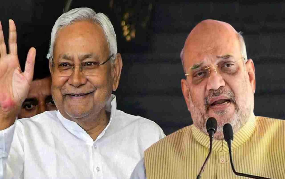 बिहार चुनाव से पहले बढ़ी सियासी हलचल, अमित शाह ने नीतीश कुमार को लेकर दिया का बयान, जानें क्या कहा