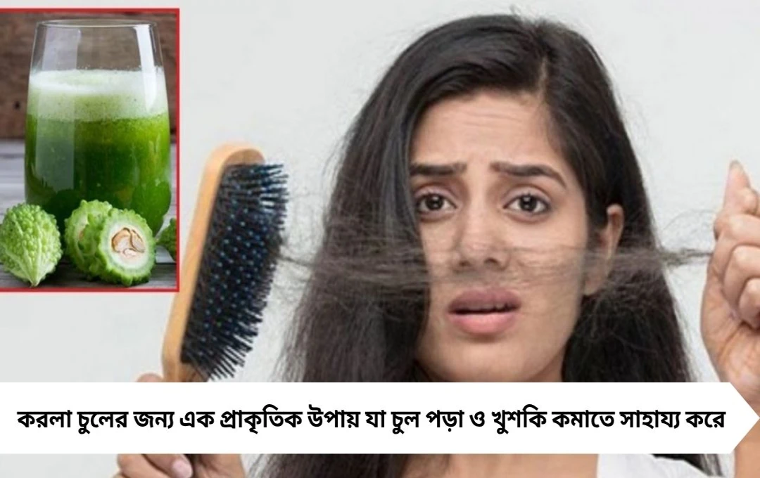 করলা ব্যবহার করে চুল পড়া ও খুশকি কমানোর সহজ ঘরোয়া উপায়