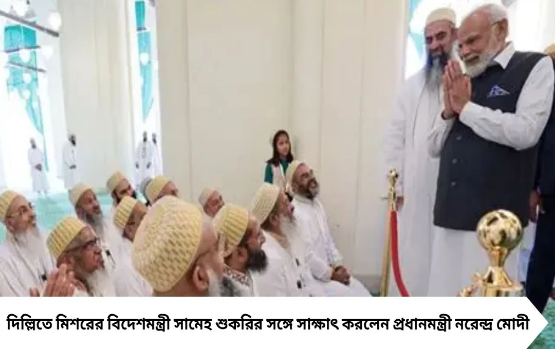 মিশরের বিদেশমন্ত্রীর সঙ্গে সাক্ষাৎ মোদীর, গাজ়া যুদ্ধবিরতিতে সিসিকে ধন্যবাদ