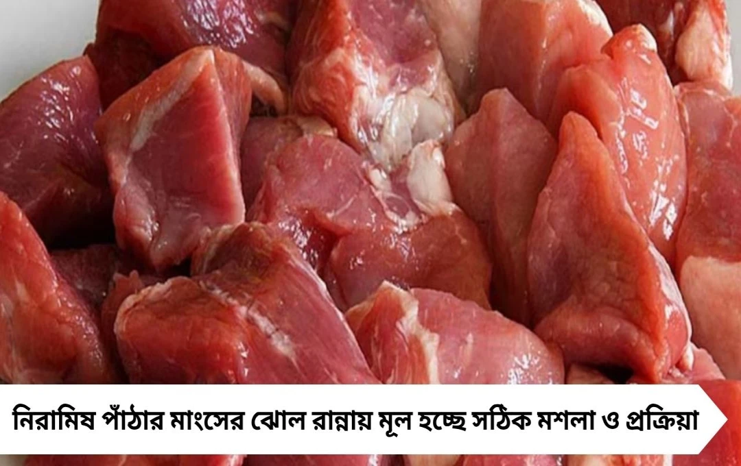 নিরামিষ পাঁঠার মাংসের ঝোল: ঐতিহ্যবাহী স্বাদের গোপন মশলা