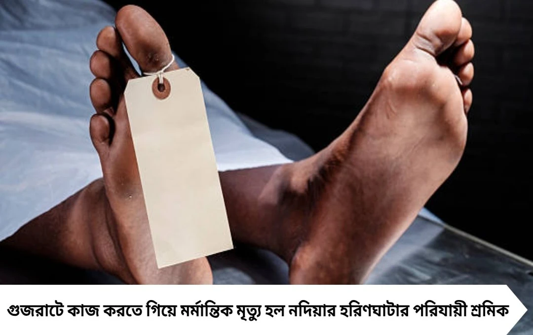 গুজরাটে কাজ করতে গিয়ে ছাদ থেকে পড়ে মৃত্যু হরিণঘাটার শ্রমিকের! এলাকায় শোকের ছায়া