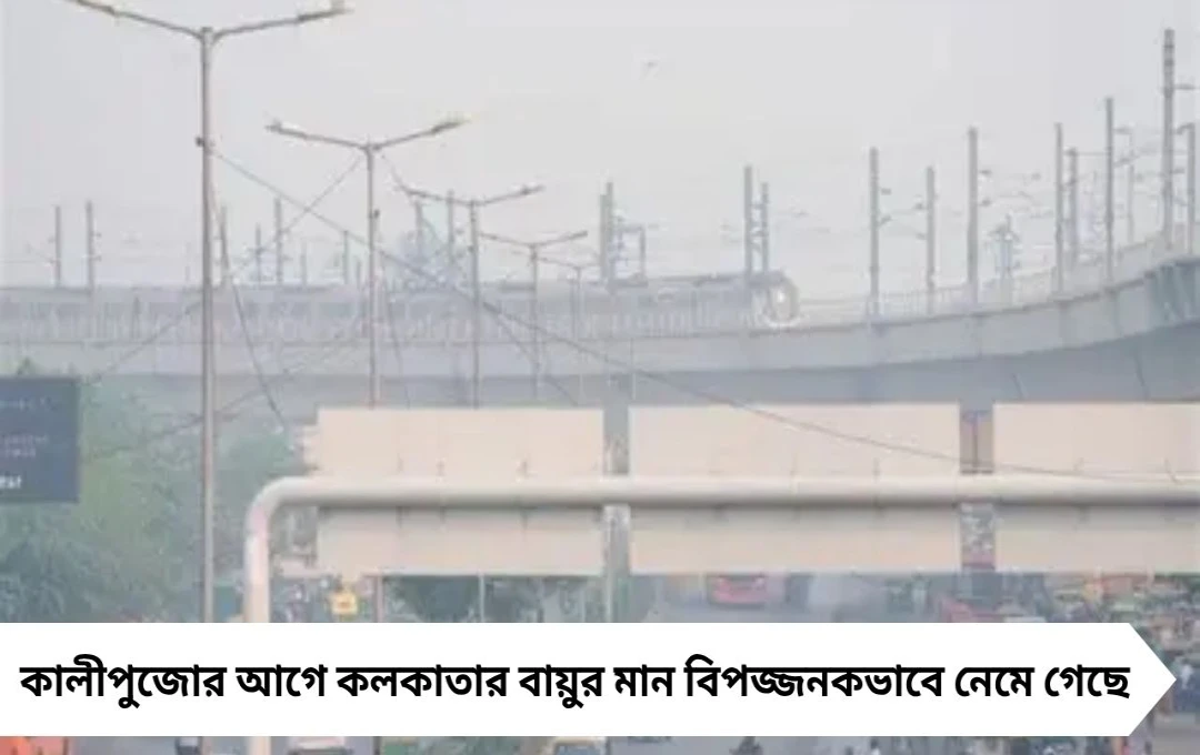 কালীপুজোর আগেই কলকাতার বাতাসে বিষ! AQI ছুঁল ২৫০, বিশেষজ্ঞদের সতর্কবার্তা শিশু ও রোগীদের জন্য